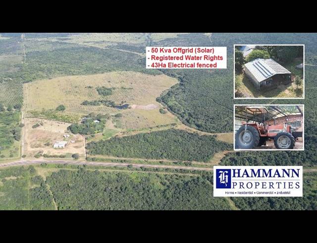 FARM FOR SALE IN LOUIS TRICHARDT RURAL